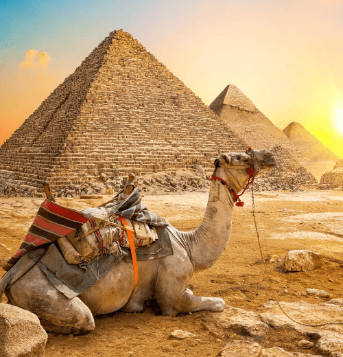 A Taste of Egypt